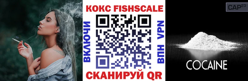 COCAIN Fish Scale  Владимир 