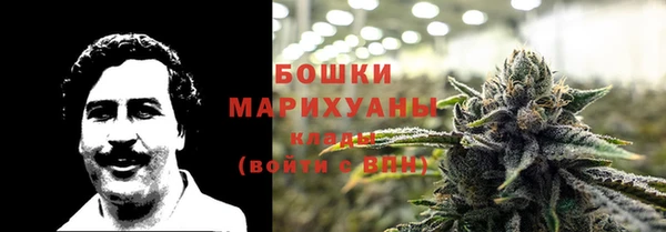 Альфа ПВП Верея