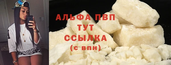 Альфа ПВП Верея