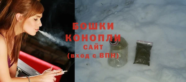 Альфа ПВП Верея